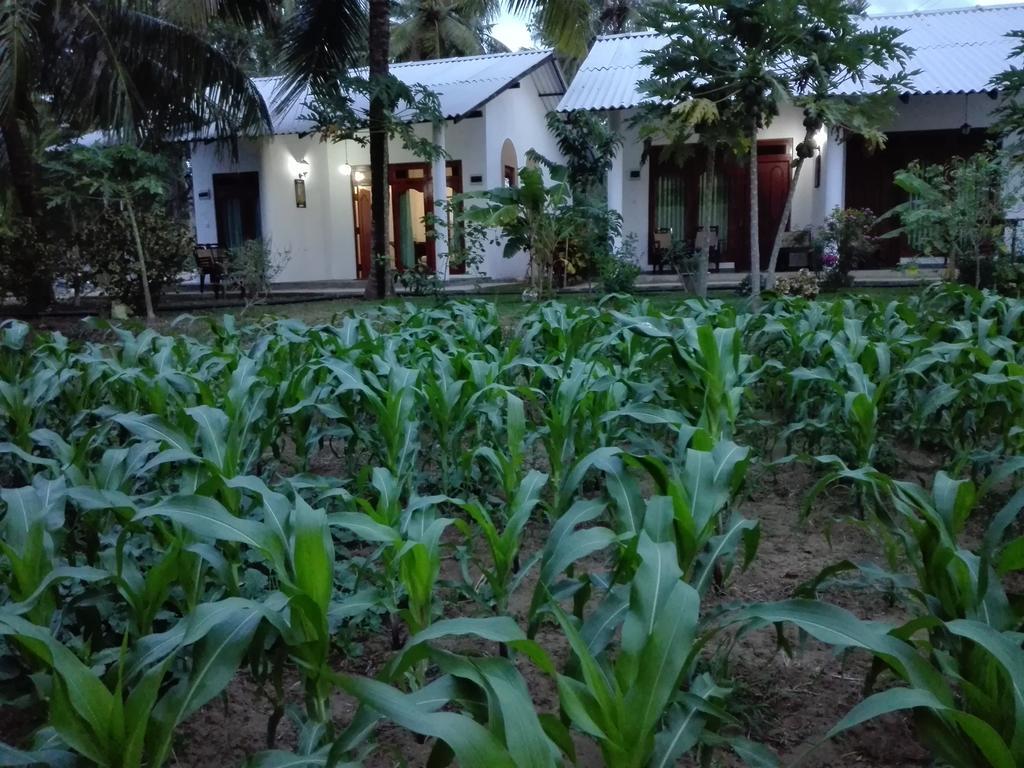 Hideaway Homestay Habarana Exterior photo